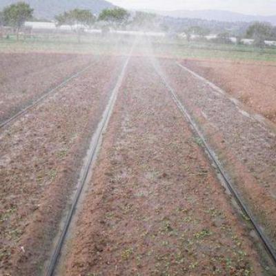 Points and considerations of fertigation with drip irrigation